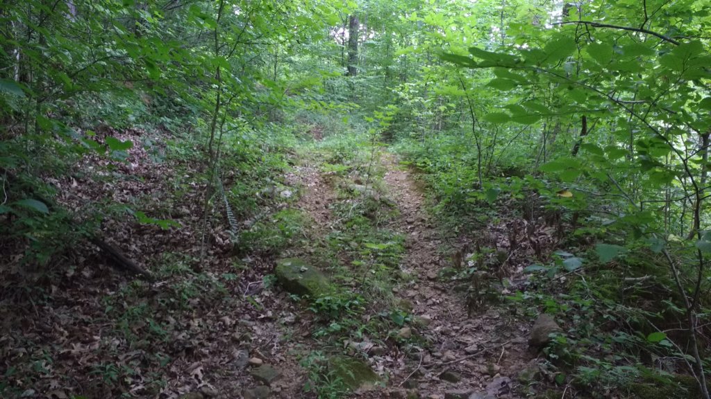 img_20180715_115615340.jpg