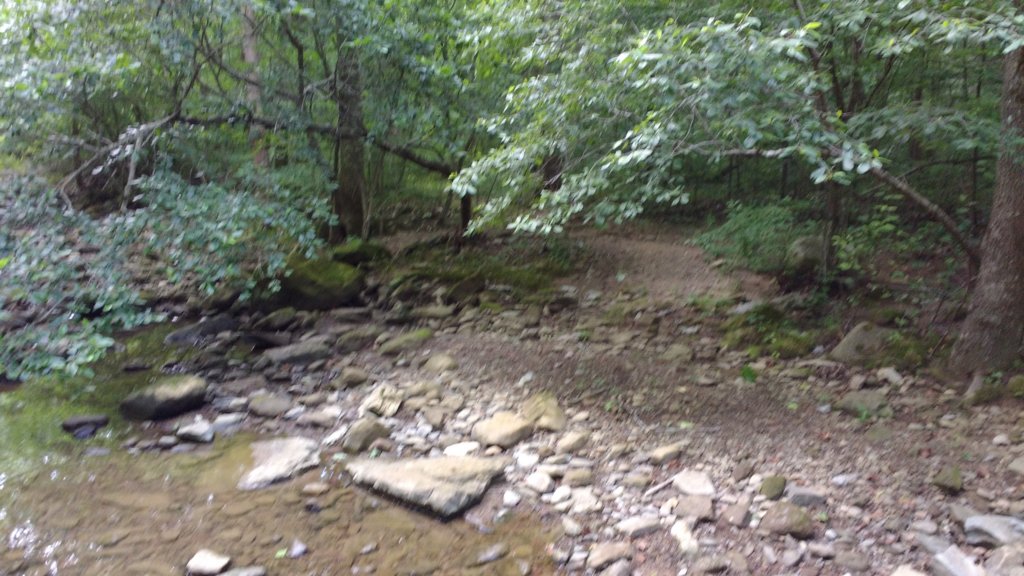 img_20180715_120607795.jpg