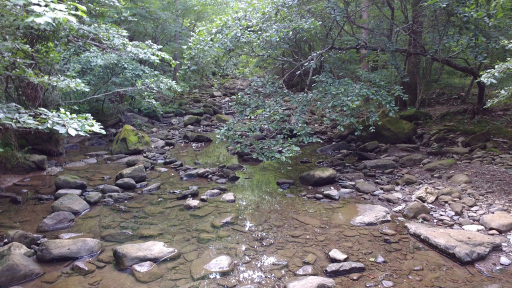 img_20180715_120609855.jpg