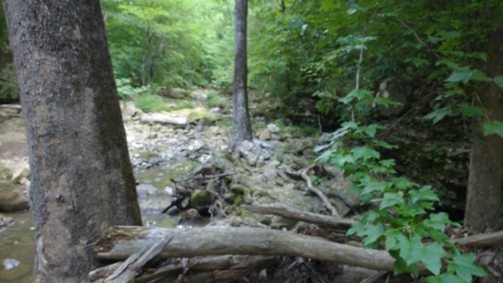 img_20180715_121222572.jpg