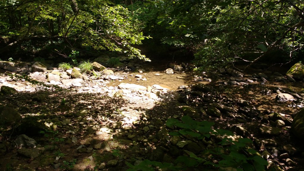 img_20180715_121639982.jpg