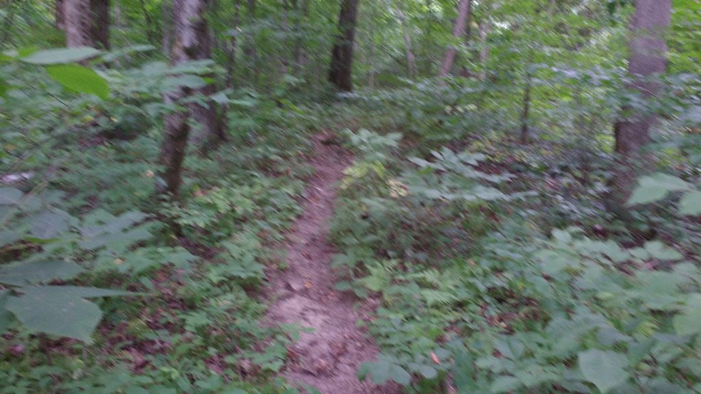 img_20180715_123734586.jpg