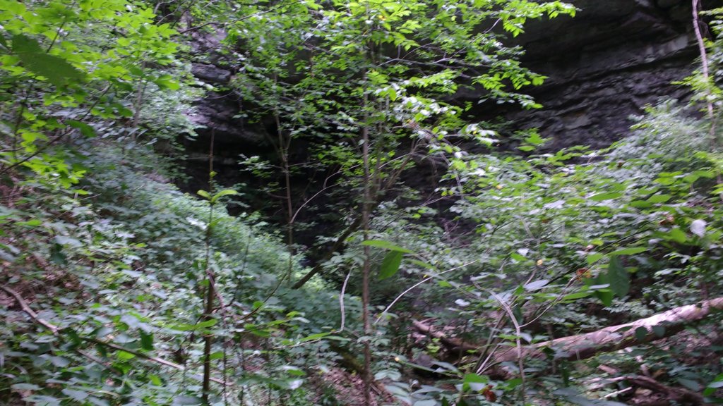 img_20180715_124045838.jpg