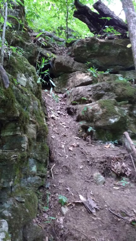 img_20180715_124652540.jpg