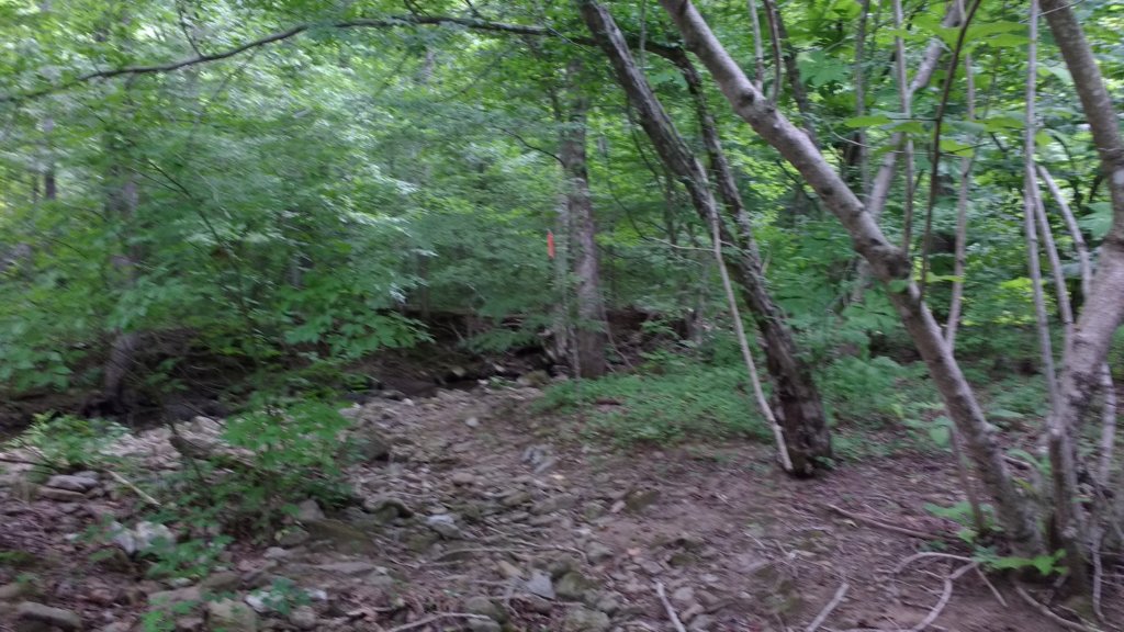 img_20180715_132341042.jpg