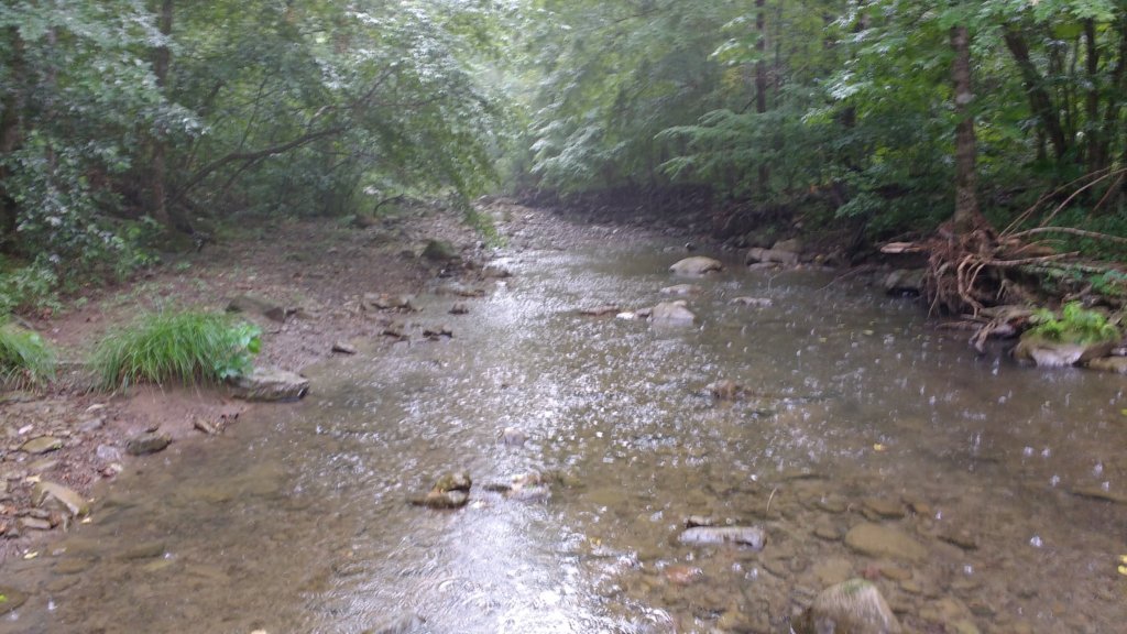 img_20180715_133154573.jpg