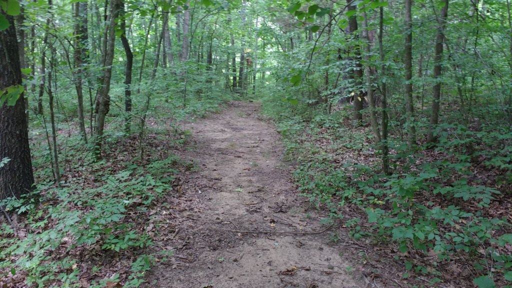 img_20180715_134327757.jpg