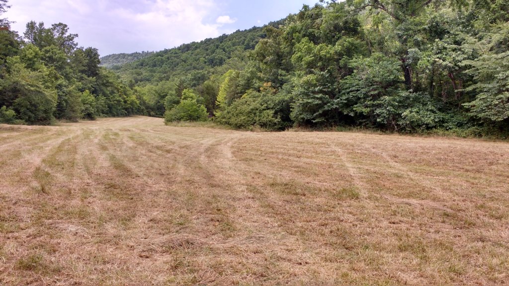 img_20180715_135718272_hdr.jpg