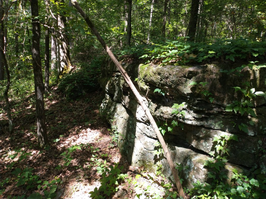 img_20210615_105116953.jpg