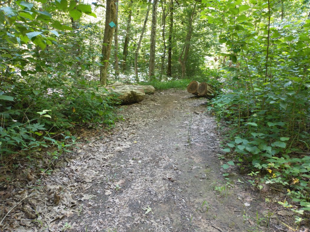 img_20210615_110159126.jpg