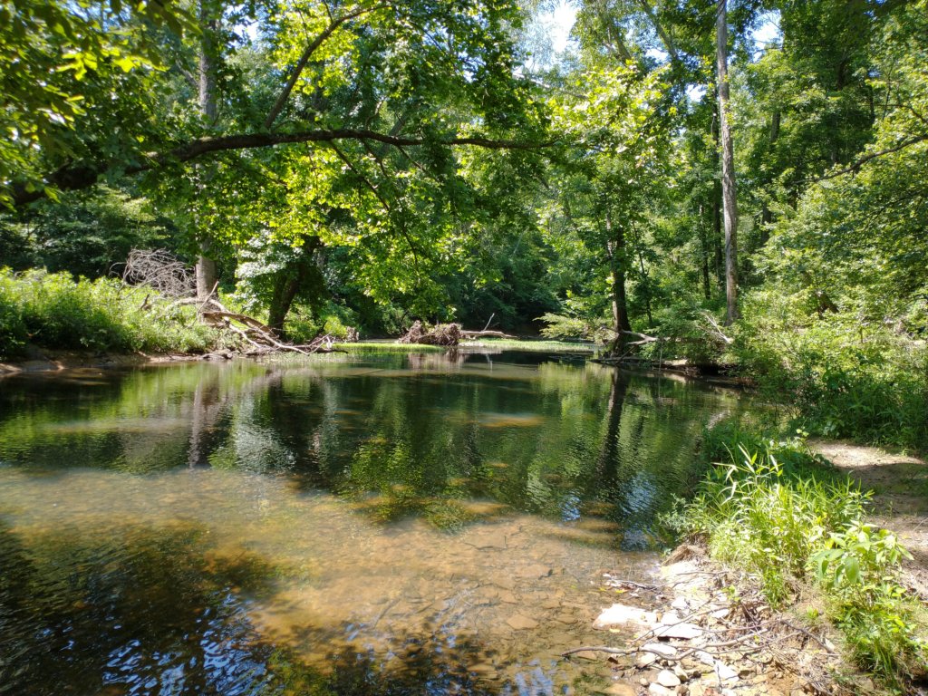 img_20210615_110443305.jpg