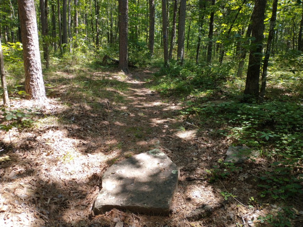 img_20210615_111510733.jpg
