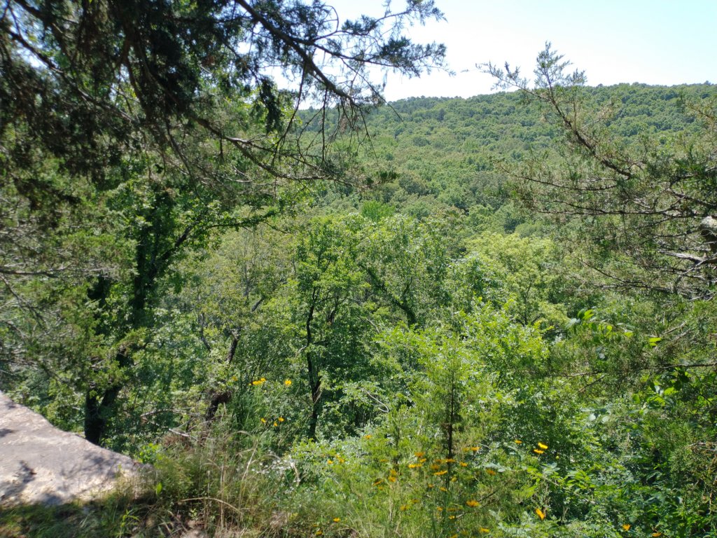 img_20210615_112400772.jpg