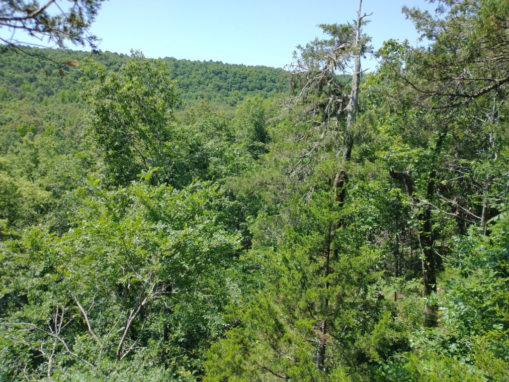 img_20210615_112427162.jpg