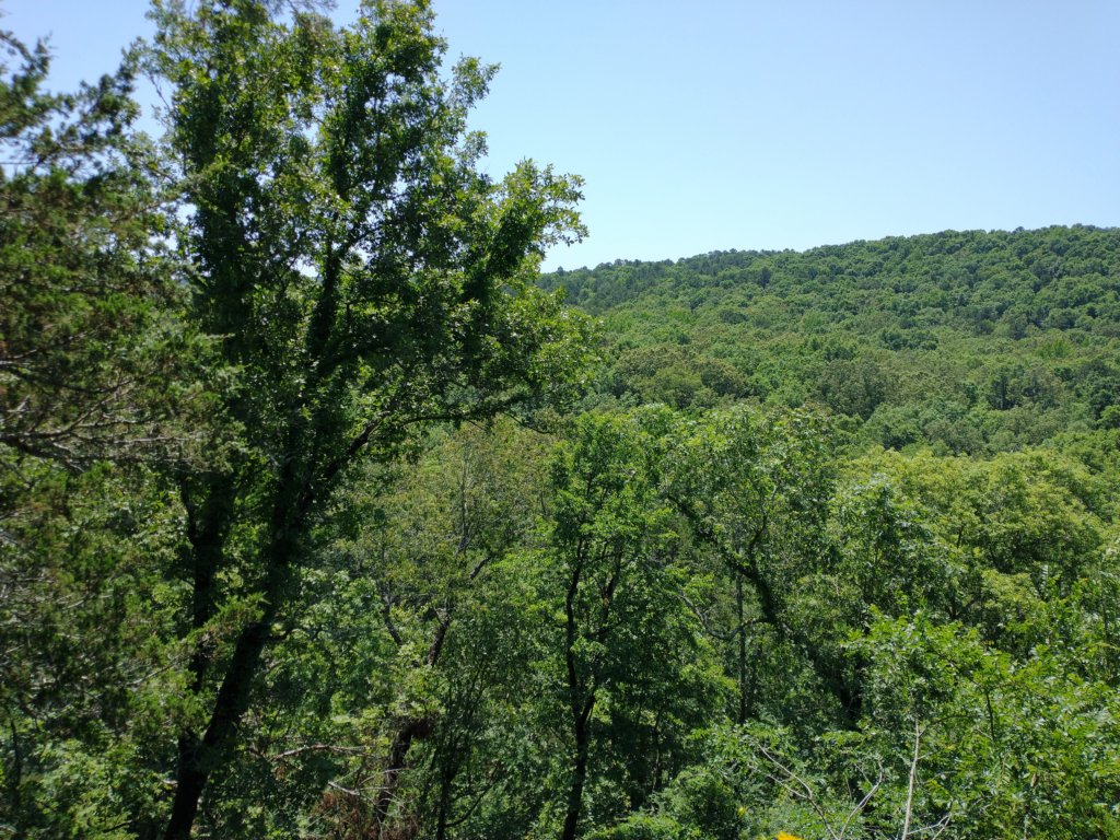 img_20210615_112516820.jpg