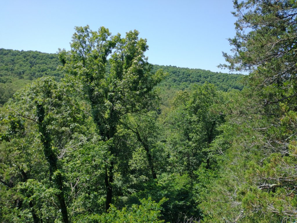 img_20210615_112740593.jpg