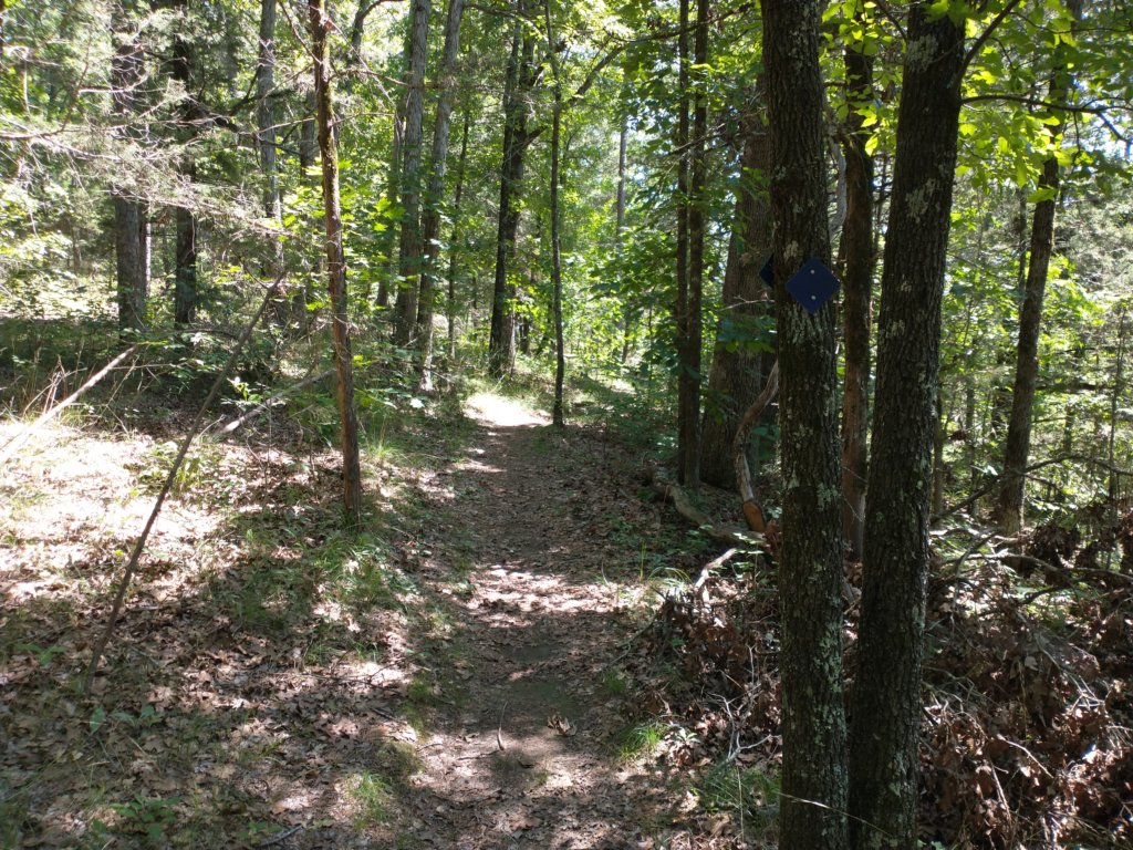 img_20210615_113154215.jpg