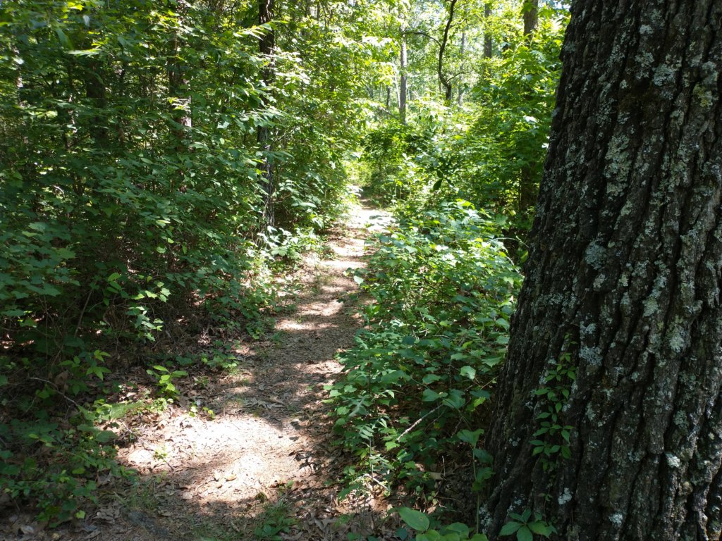 img_20210615_114506248.jpg