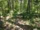 img_20210615_114631425_small.jpg