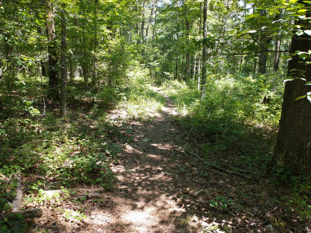 img_20210615_114951544.jpg