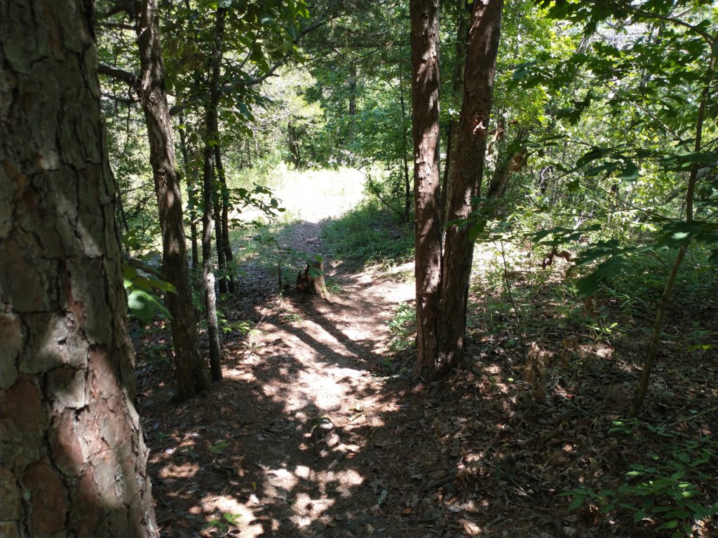 img_20210615_115703909.jpg