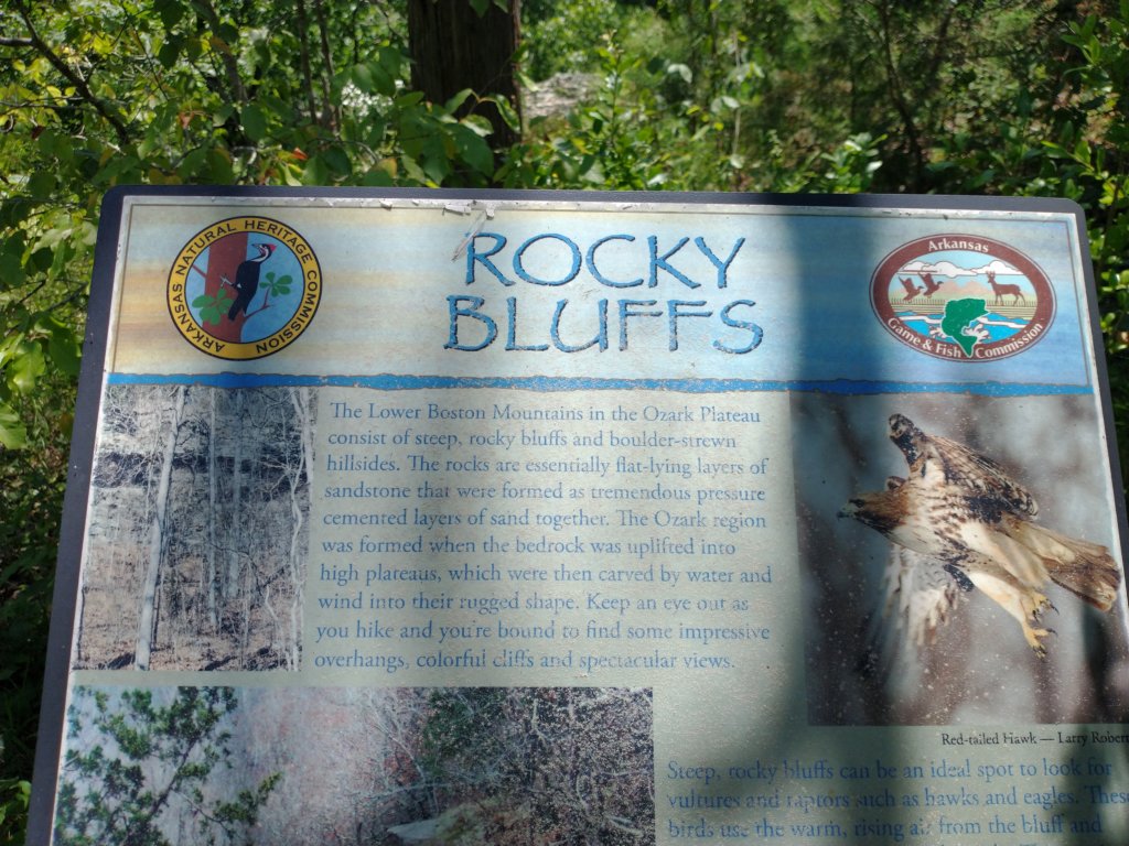 img_20210615_115741733.jpg