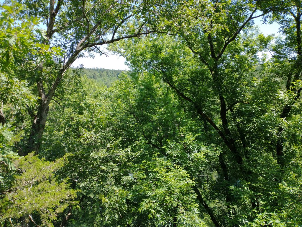 img_20210615_115901981.jpg