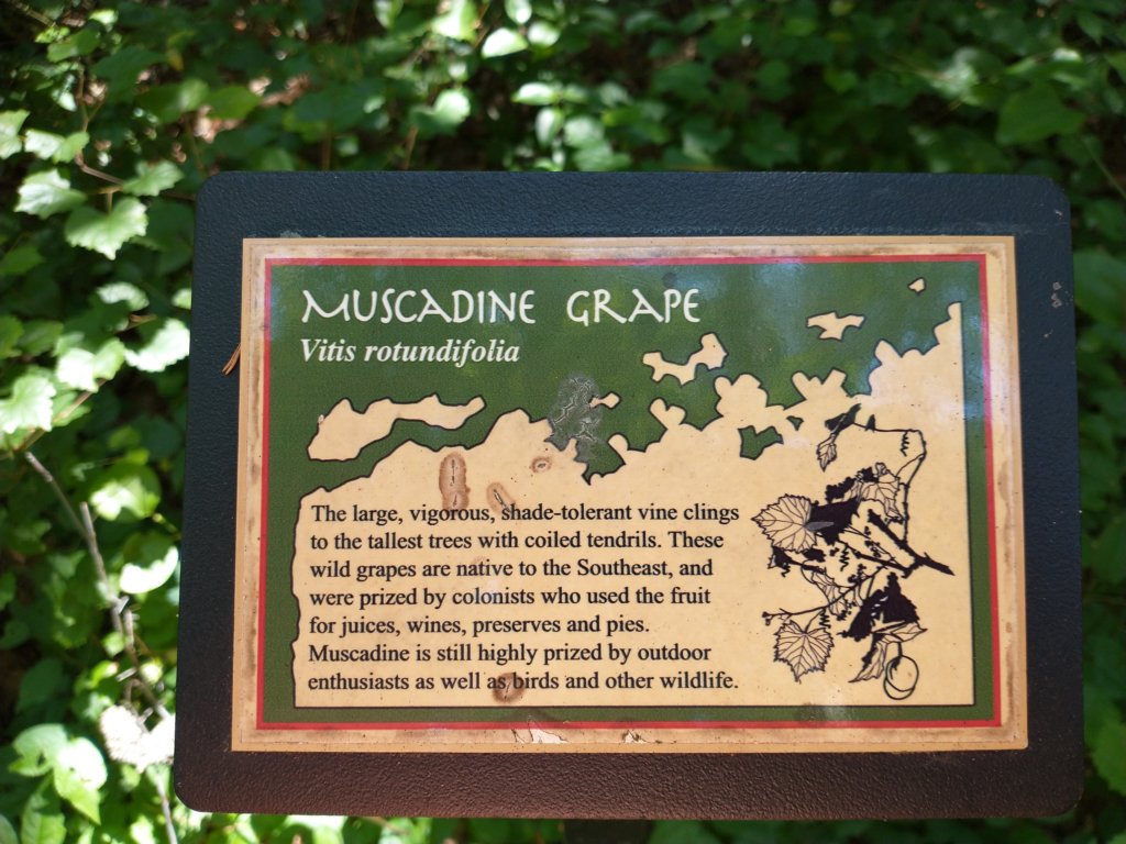 img_20210615_122154874.jpg