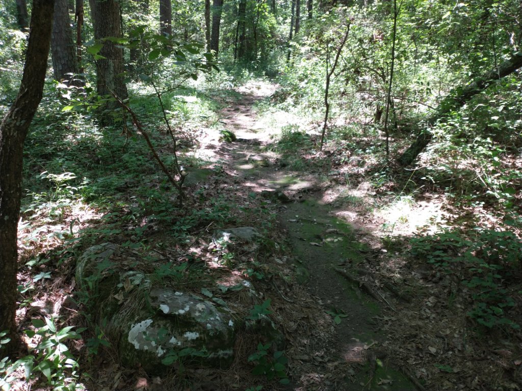 img_20210615_122414669.jpg