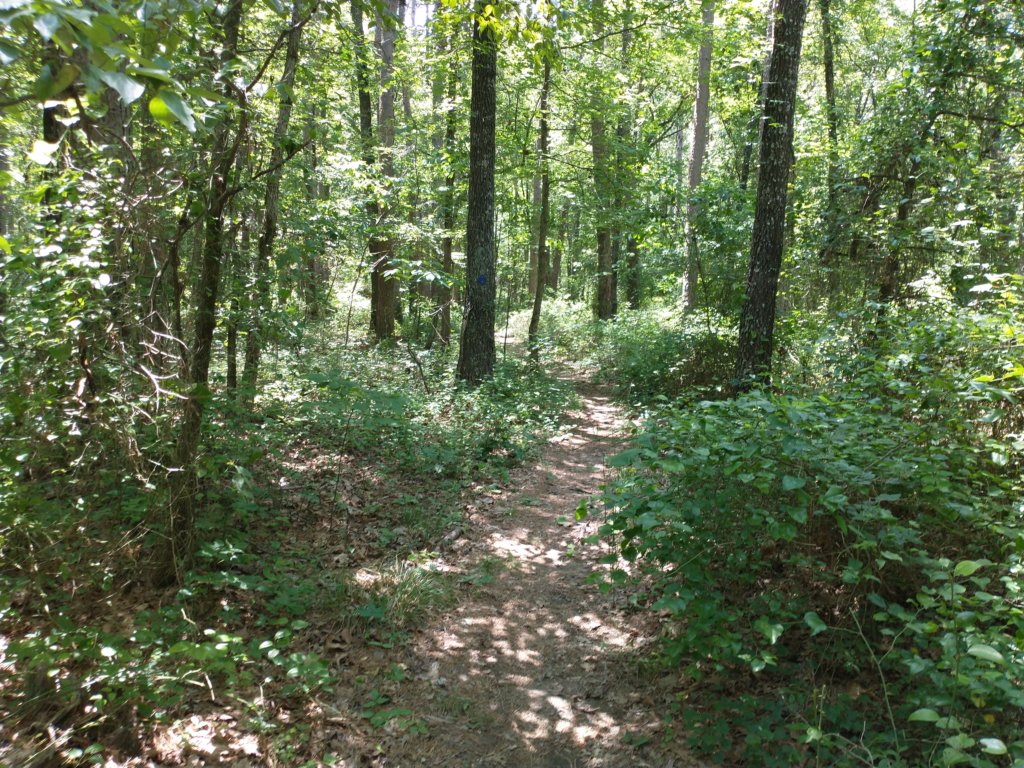 img_20210615_122516039.jpg