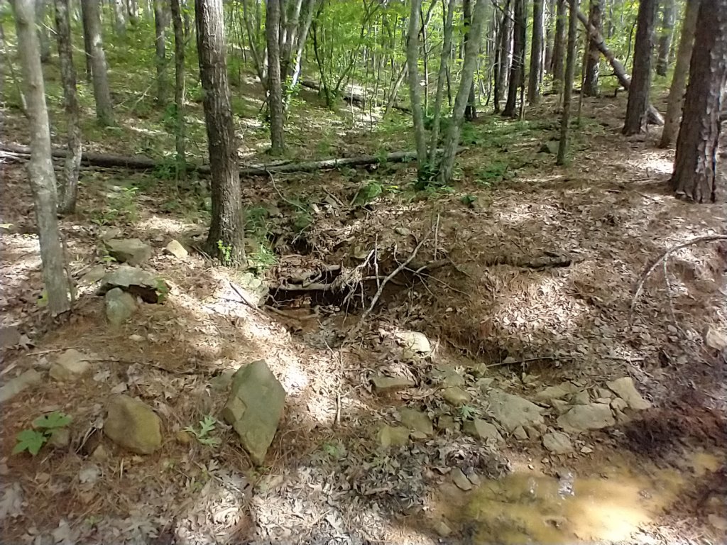 img_20220528_094935496.jpg