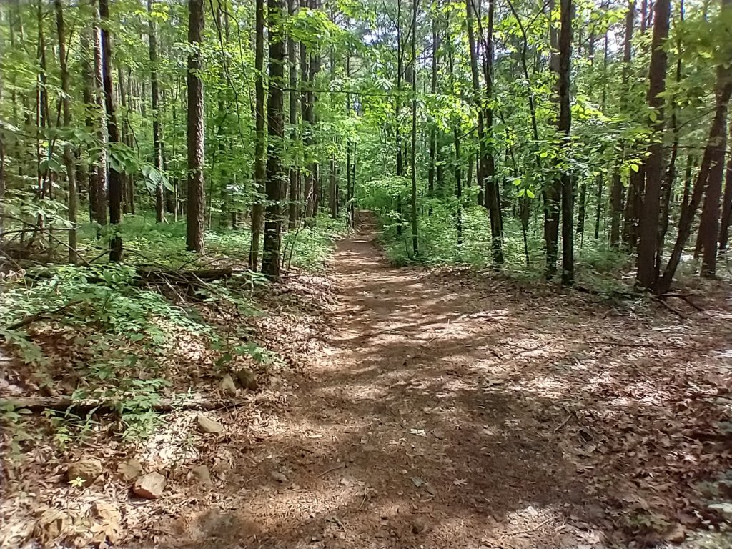 img_20220528_095125355_hdr.jpg