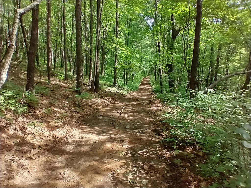 img_20220528_095732120_hdr.jpg