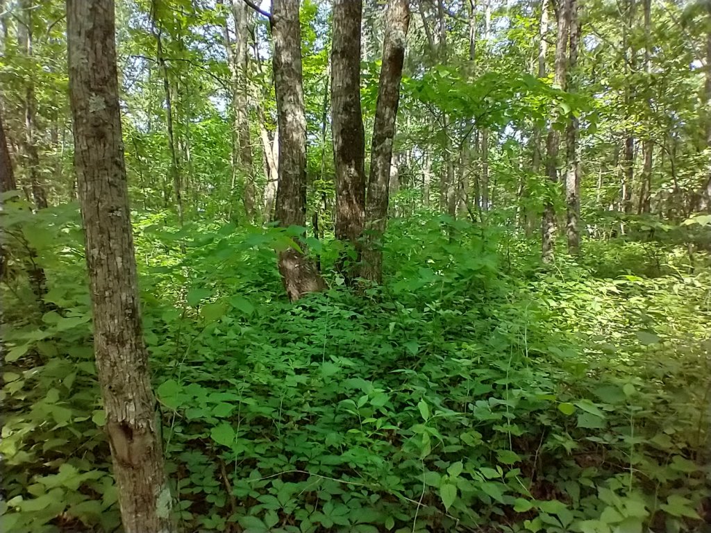 img_20220528_101002516_hdr.jpg