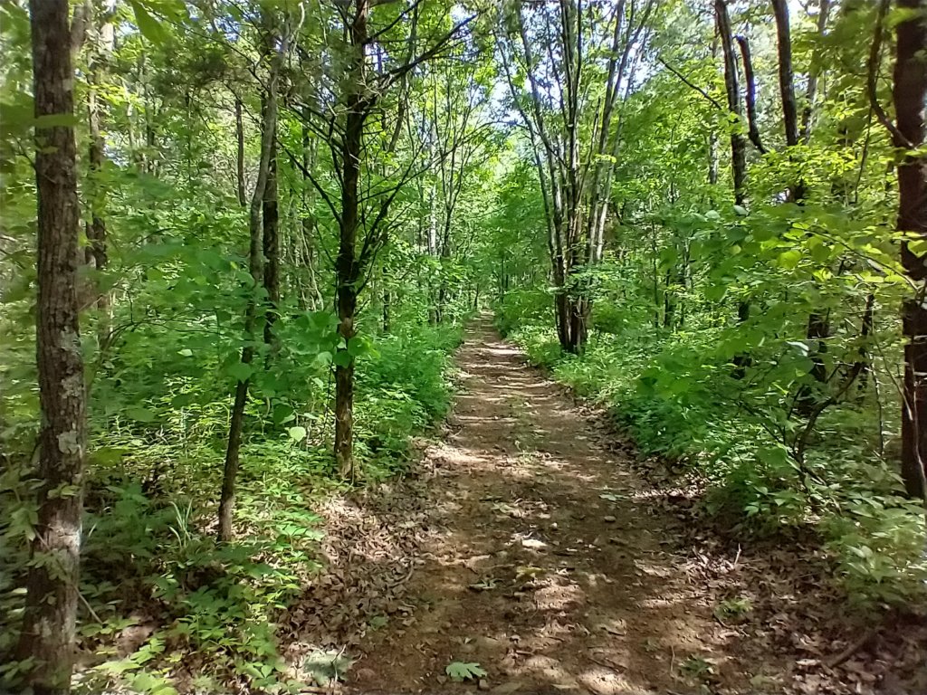 img_20220528_101006764_hdr.jpg
