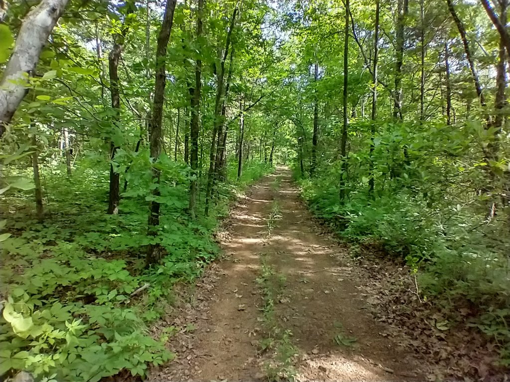 img_20220528_101056997_hdr.jpg