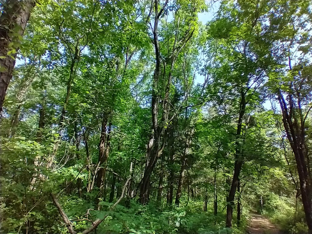 img_20220528_101145597_hdr.jpg