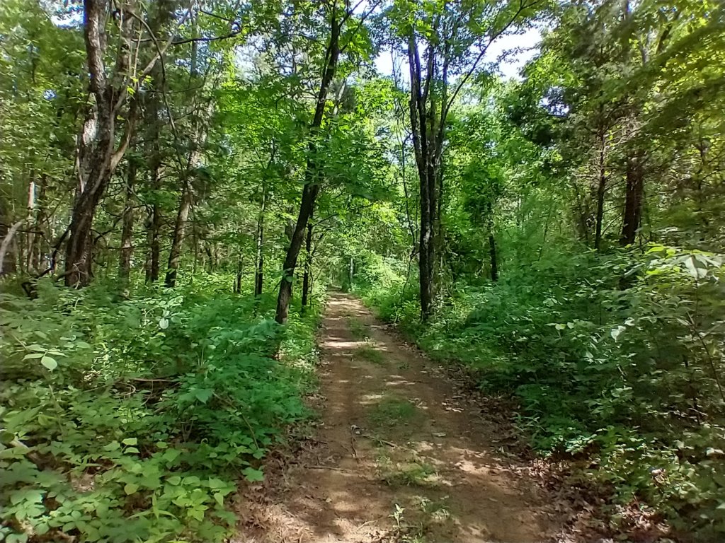 img_20220528_101148457_hdr1.jpg
