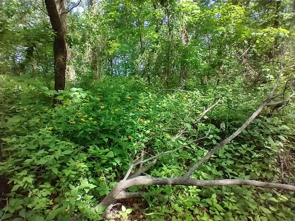 img_20220528_101346646_hdr.jpg