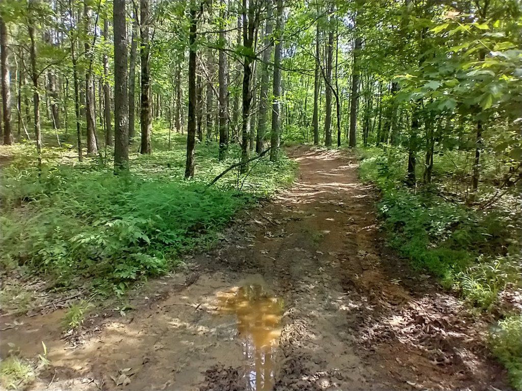 img_20220528_101821818_hdr.jpg