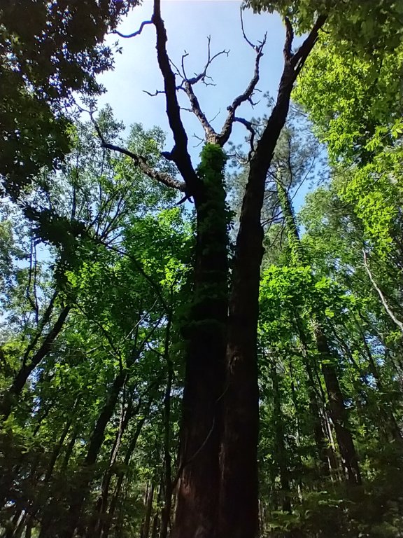 img_20220528_102213924_hdr.jpg