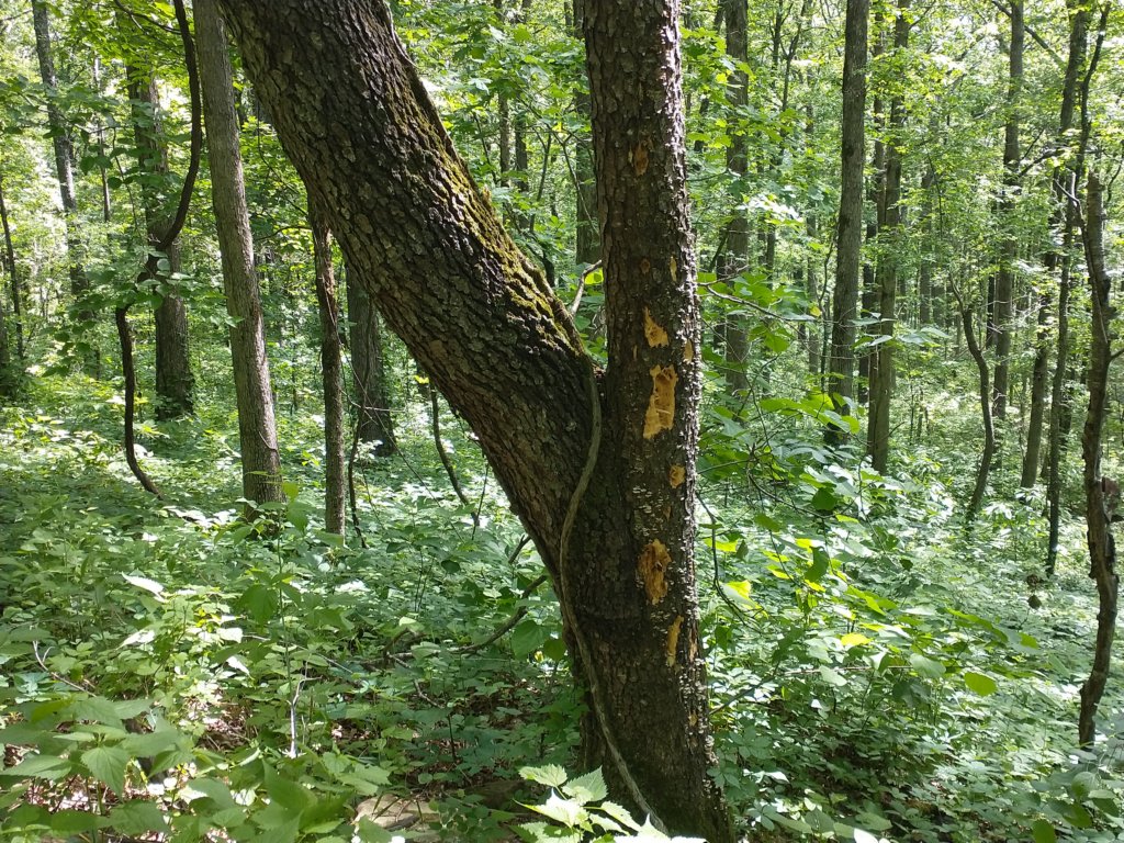 img_20220528_102416542.jpg