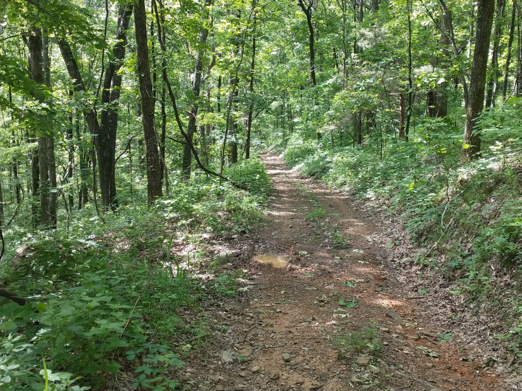 img_20220528_102423413.jpg