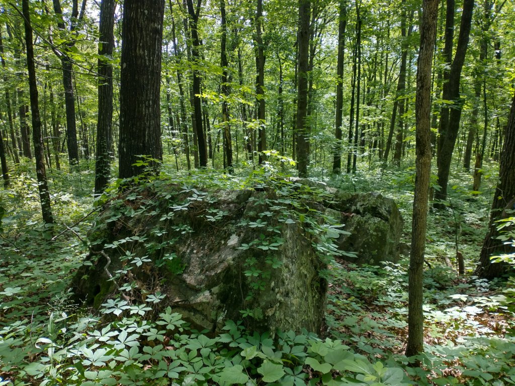 img_20220528_102817976_hdr.jpg