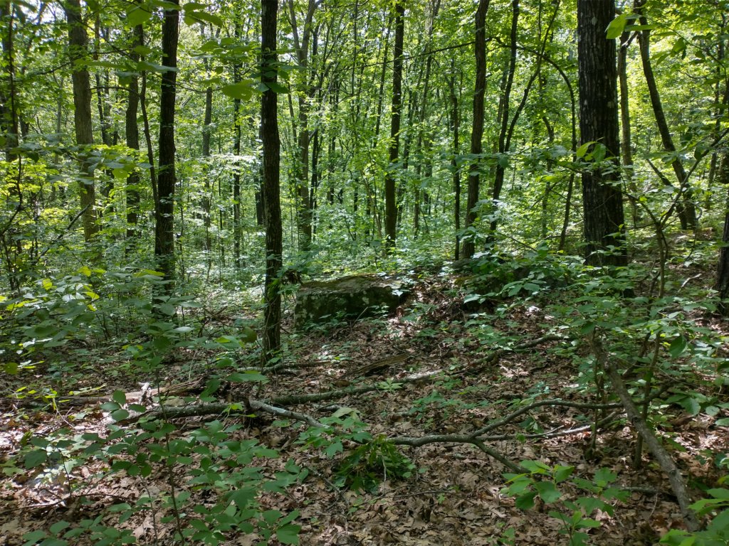img_20220528_103134018_hdr.jpg
