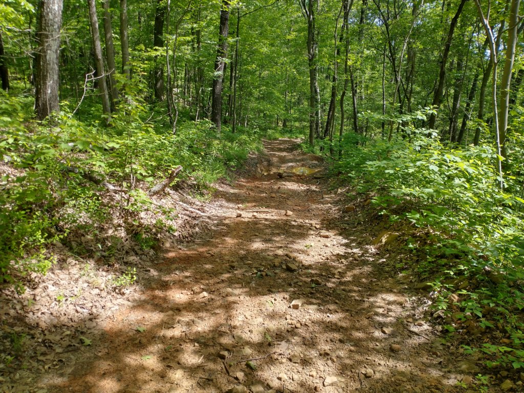 img_20220528_103608252_hdr.jpg