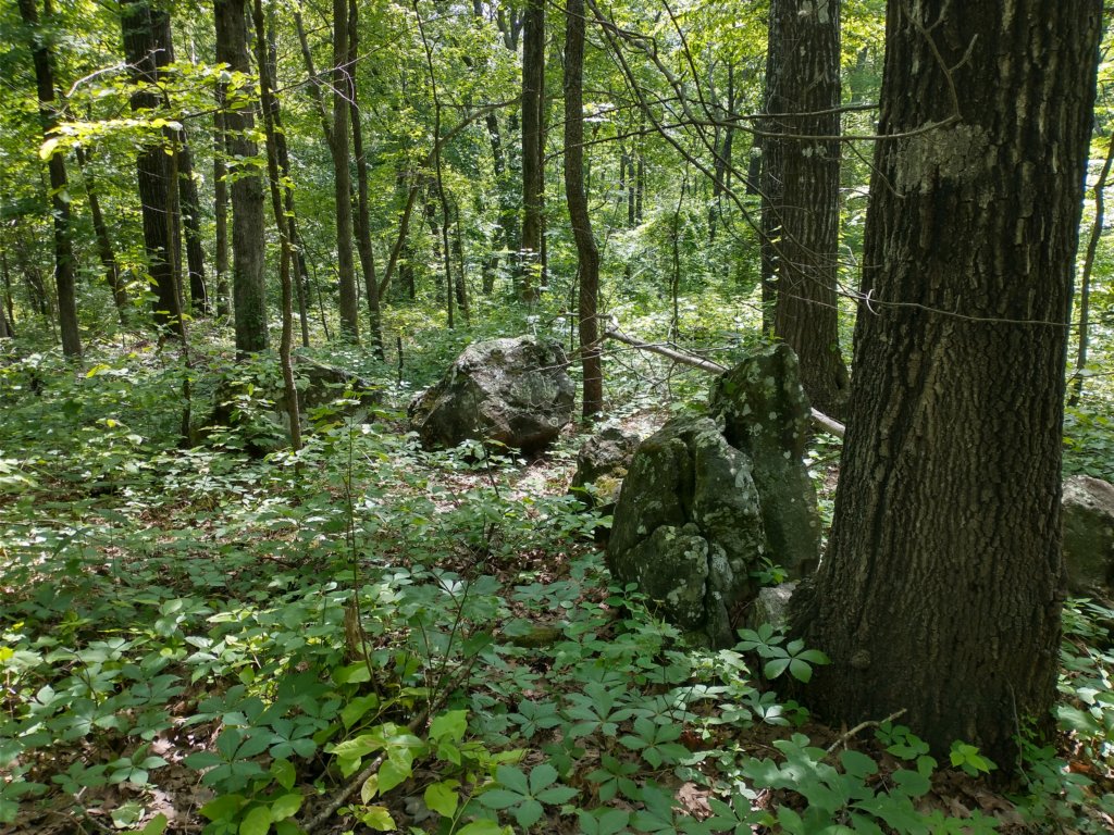 img_20220528_103930921_hdr.jpg