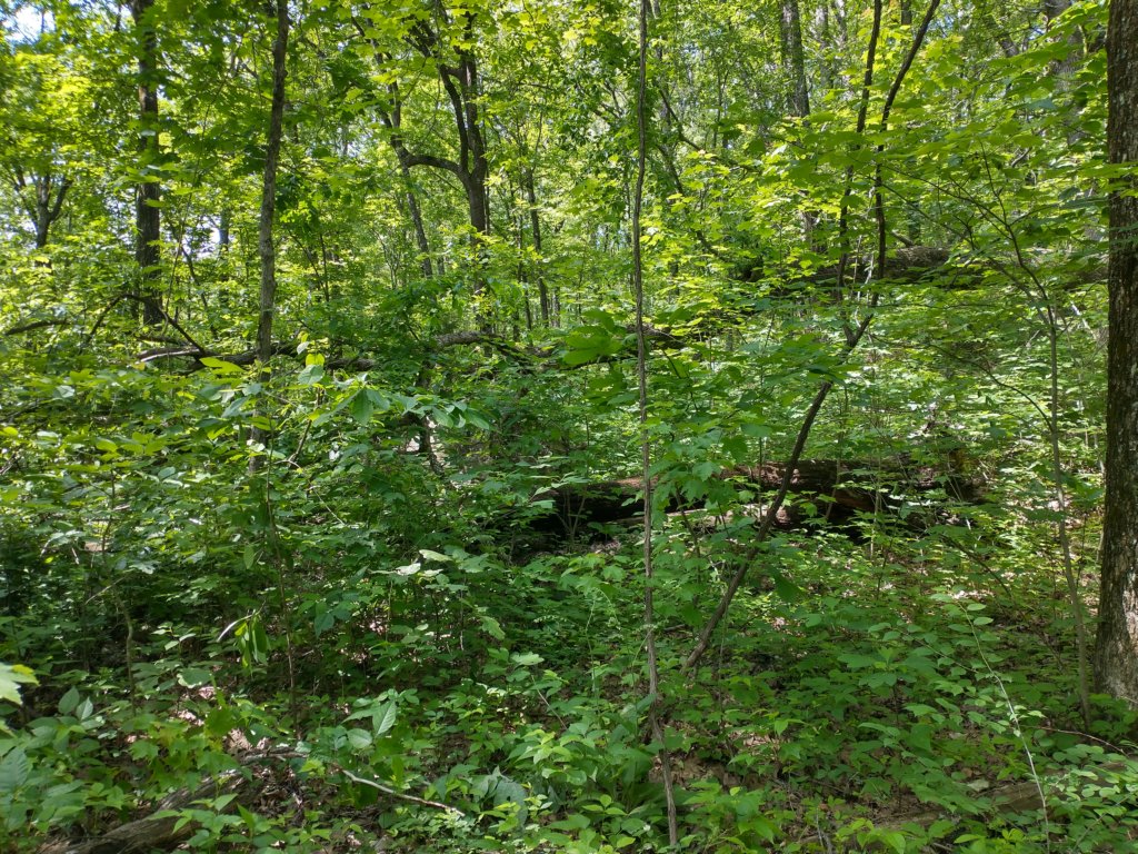 img_20220528_104228845_hdr.jpg