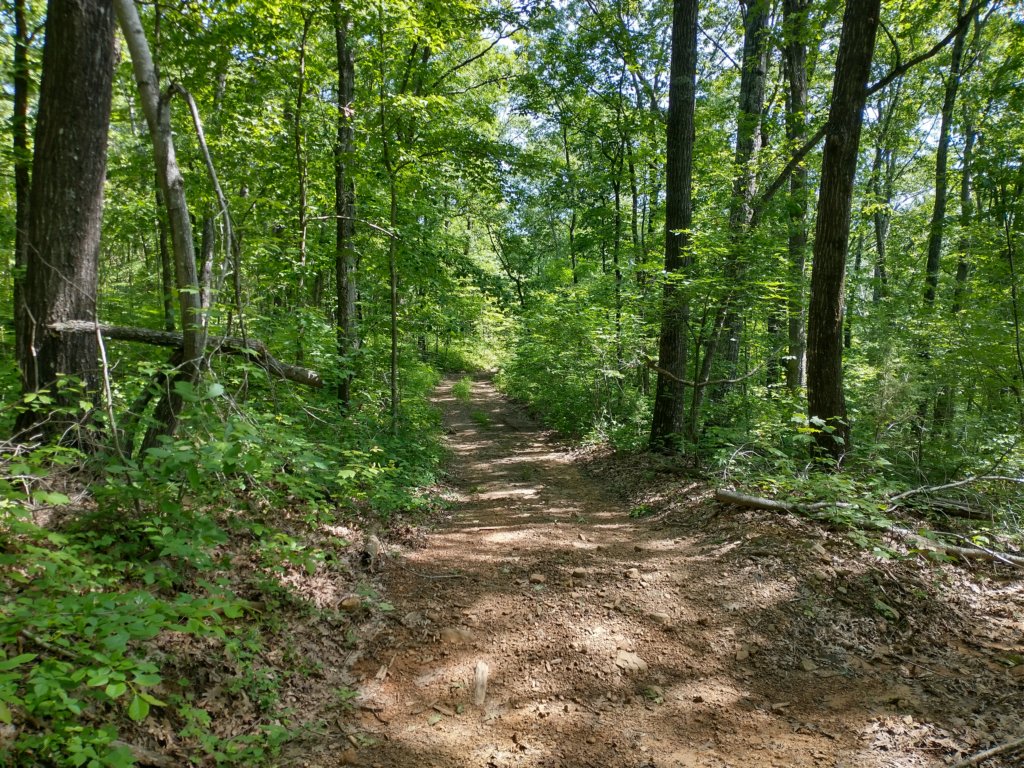 img_20220528_104237287_hdr.jpg