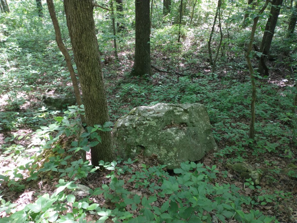 img_20220528_104619687.jpg
